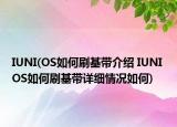 IUNI(OS如何刷基帶介紹 IUNI OS如何刷基帶詳細(xì)情況如何)