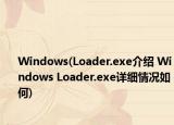 Windows(Loader.exe介紹 Windows Loader.exe詳細(xì)情況如何)