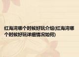 紅海灣哪個時候好玩介紹(紅海灣哪個時候好玩詳細情況如何)