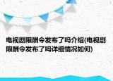 電視劇限酬令發(fā)布了嗎介紹(電視劇限酬令發(fā)布了嗎詳細(xì)情況如何)