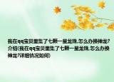 我在qq寶貝里集了七顆一星龍珠,怎么辦換神龍?介紹(我在qq寶貝里集了七顆一星龍珠,怎么辦換神龍?詳細情況如何)