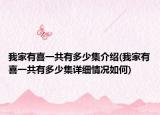 我家有喜一共有多少集介紹(我家有喜一共有多少集詳細(xì)情況如何)