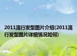 2011流行發(fā)型圖片介紹(2011流行發(fā)型圖片詳細情況如何)