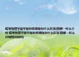 蠟筆物理學(xué)豪華版和普通版有什么區(qū)別(圖都一樣么介紹 蠟筆物理學(xué)豪華版和普通版有什么區(qū)別 圖都一樣么詳細(xì)情況如何)