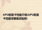 APU的顯卡性能介紹(APU的顯卡性能詳細(xì)情況如何)
