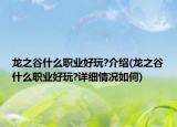 龍之谷什么職業(yè)好玩?介紹(龍之谷什么職業(yè)好玩?詳細情況如何)