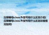 壓鉚螺母s.bos.fh型號(hào)有什么區(qū)別介紹(壓鉚螺母s.bos.fh型號(hào)有什么區(qū)別詳細(xì)情況如何)