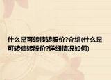 什么是可轉(zhuǎn)債轉(zhuǎn)股價?介紹(什么是可轉(zhuǎn)債轉(zhuǎn)股價?詳細情況如何)