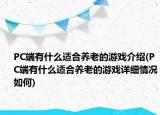PC端有什么適合養(yǎng)老的游戲介紹(PC端有什么適合養(yǎng)老的游戲詳細(xì)情況如何)