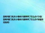 劍網(wǎng)3唐門機(jī)關(guān)小豬碎片都弄丟了怎么辦?介紹(劍網(wǎng)3唐門機(jī)關(guān)小豬碎片都弄丟了怎么辦?詳細(xì)情況如何)