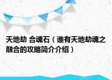 天地劫 合魂石（誰有天地劫魂之融合的攻略簡介介紹）