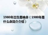 1980年出生是啥命（1980年是什么命簡介介紹）