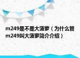 m249是不是大菠蘿（為什么管m249叫大菠蘿簡(jiǎn)介介紹）