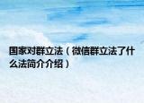 國家對群立法（微信群立法了什么法簡介介紹）