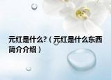 元紅是什么?（元紅是什么東西簡介介紹）