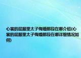 心裳的屈服里太子悔婚那段在哪介紹(心裳的屈服里太子悔婚那段在哪詳細情況如何)