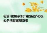 街霸5終極必殺介紹(街霸5終極必殺詳細(xì)情況如何)