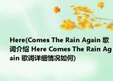 Here(Comes The Rain Again 歌詞介紹 Here Comes The Rain Again 歌詞詳細(xì)情況如何)