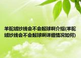 羊駝絨紗線會(huì)不會(huì)起球啊介紹(羊駝絨紗線會(huì)不會(huì)起球啊詳細(xì)情況如何)