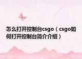 怎么打開控制臺csgo（csgo如何打開控制臺簡介介紹）