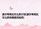 賽爾號莫比怎么抓介紹(賽爾號莫比怎么抓詳細(xì)情況如何)