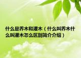 什么是喬木和灌木（什么叫喬木什么叫灌木怎么區(qū)別簡介介紹）