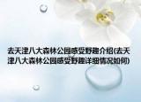 去天津八大森林公園感受野趣介紹(去天津八大森林公園感受野趣詳細(xì)情況如何)