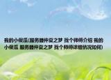 我的小傻瓜(服務(wù)器仲夏之夢 找個師傅介紹 我的小傻瓜 服務(wù)器仲夏之夢 找個師傅詳細(xì)情況如何)