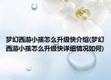 夢幻西游小孩怎么升級快介紹(夢幻西游小孩怎么升級快詳細情況如何)