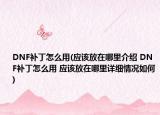DNF補丁怎么用(應(yīng)該放在哪里介紹 DNF補丁怎么用 應(yīng)該放在哪里詳細(xì)情況如何)