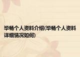 畢暢個(gè)人資料介紹(畢暢個(gè)人資料詳細(xì)情況如何)
