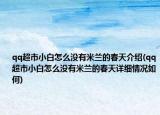 qq超市小白怎么沒有米蘭的春天介紹(qq超市小白怎么沒有米蘭的春天詳細情況如何)