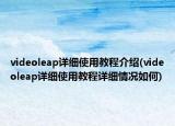 videoleap詳細使用教程介紹(videoleap詳細使用教程詳細情況如何)