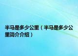 半馬是多少公里（半馬是多少公里簡介介紹）