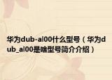 華為dub-al00什么型號（華為dub_al00是啥型號簡介介紹）