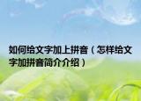 如何給文字加上拼音（怎樣給文字加拼音簡(jiǎn)介介紹）