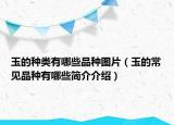 玉的種類有哪些品種圖片（玉的常見品種有哪些簡介介紹）