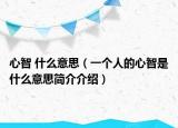 心智 什么意思（一個人的心智是什么意思簡介介紹）