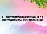 世上有哪些狗敢和野獸搏斗(有何依據(jù)介紹 世上有哪些狗敢和野獸搏斗 有何依據(jù)詳細(xì)情況如何)