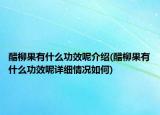 醋柳果有什么功效呢介紹(醋柳果有什么功效呢詳細(xì)情況如何)