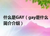 什么是GAY（gay是什么簡(jiǎn)介介紹）