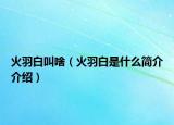 火羽白叫啥（火羽白是什么簡介介紹）