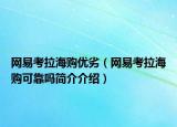 網(wǎng)易考拉海購優(yōu)劣（網(wǎng)易考拉海購可靠嗎簡介介紹）