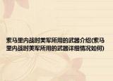 索馬里內(nèi)戰(zhàn)時美軍所用的武器介紹(索馬里內(nèi)戰(zhàn)時美軍所用的武器詳細情況如何)