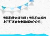 老鼠怕什么燈光嗎（老鼠怕光嗎晚上開燈還會有老鼠嗎簡介介紹）