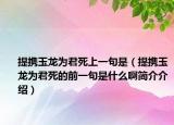 提攜玉龍為君死上一句是（提攜玉龍為君死的前一句是什么啊簡介介紹）