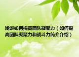 淺談如何提高團隊凝聚力（如何提高團隊凝聚力和戰(zhàn)斗力簡介介紹）
