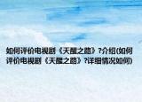 如何評(píng)價(jià)電視劇《天醒之路》?介紹(如何評(píng)價(jià)電視劇《天醒之路》?詳細(xì)情況如何)