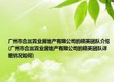 廣州市合富置業(yè)房地產(chǎn)有限公司的精英團隊介紹(廣州市合富置業(yè)房地產(chǎn)有限公司的精英團隊詳細情況如何)