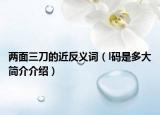 兩面三刀的近反義詞（l碼是多大簡(jiǎn)介介紹）